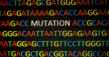 GAA Mutations Identified