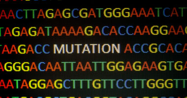 GAA Mutations Identified
