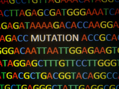 GAA Mutations Identified