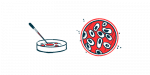 L-carnitine | Pompe Disease News | illustration of petri dish