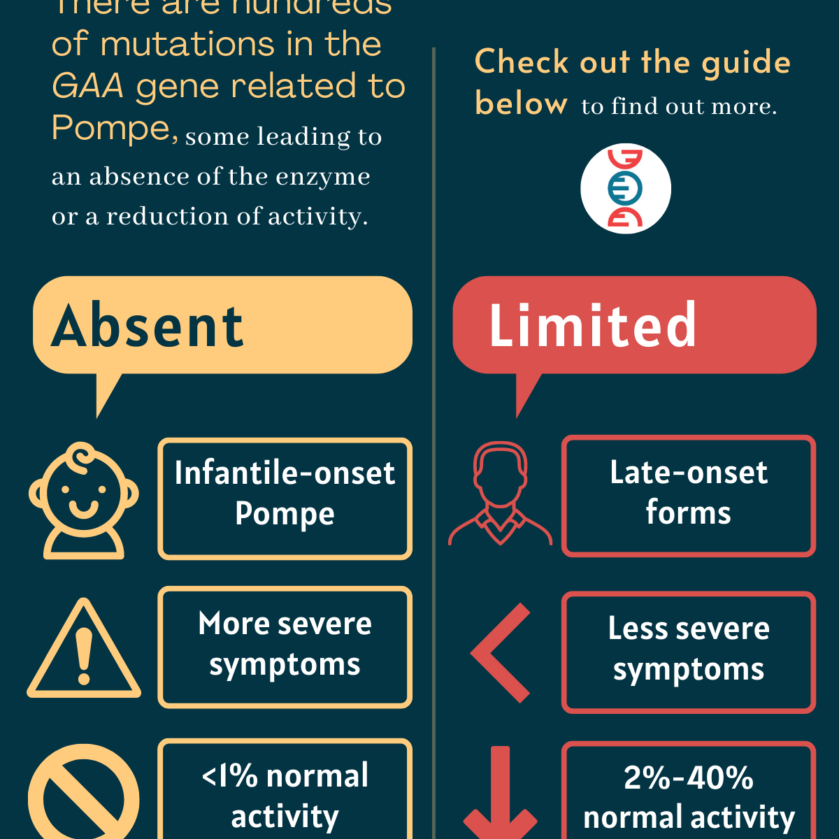 Whats the chance of every mutation?