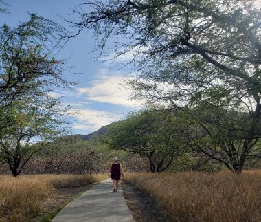 A woman in the distance walks on a concrete trail, with brown grasses and trees on either side, and a blue sky with clouds above.