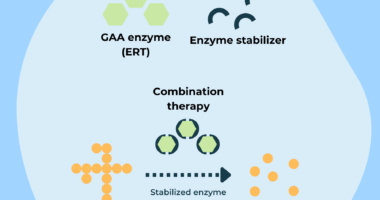 infographic depicting types of ERT and enzyme stabilizers