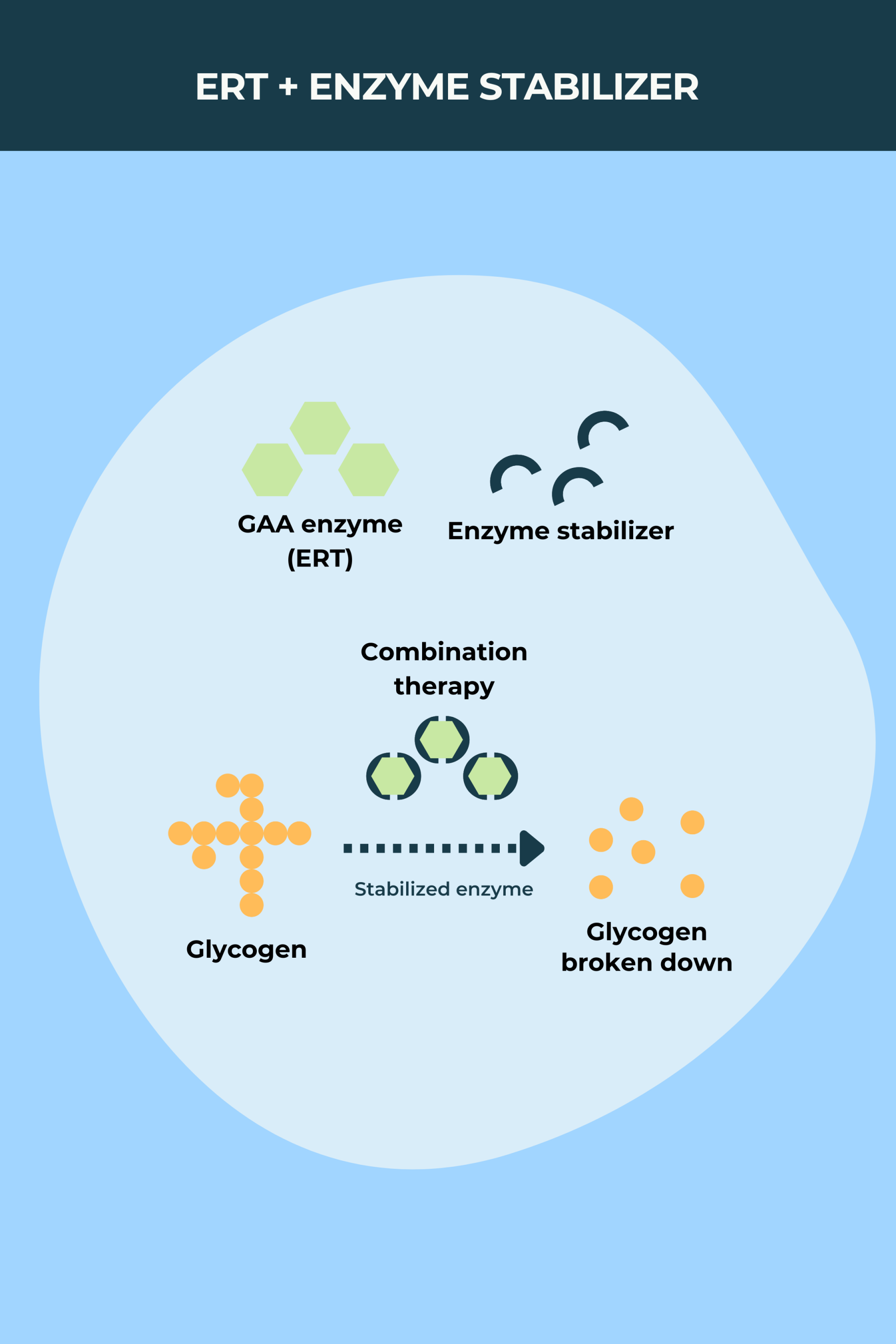 infographic depicting types of ERT and enzyme stabilizers