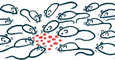 A group of mice are seen clustered in a circle around a scattering of food pellets.