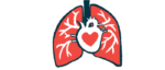 An illustration of the heart and lungs is shown.