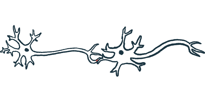 A synapse between two nerve cells is shown.