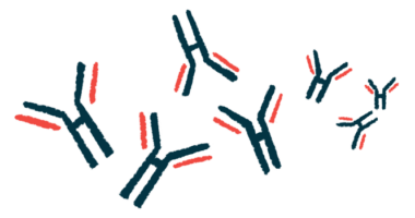 A graphic shows antibodies at work.