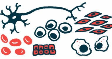 An illustration shows a selection of different types of cells.