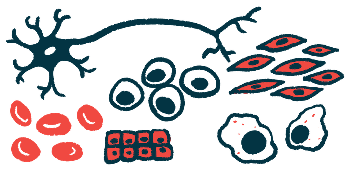 An illustration shows a selection of different types of cells.